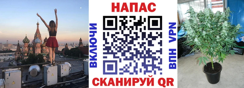 Где найти наркотики Сураж МАРИХУАНА APVP АМФЕТАМИН Гашиш