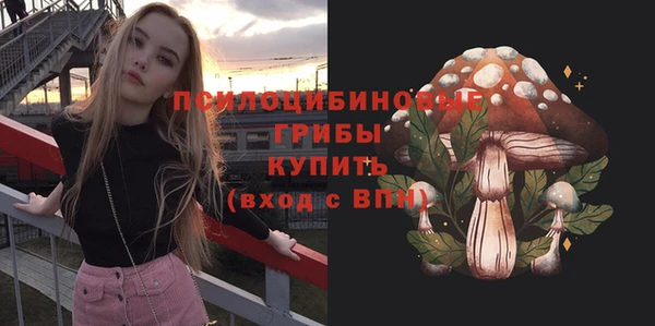 стаф Абаза