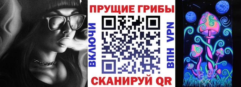 гидра маркетплейс  магазин  наркотиков  Сураж  Псилоцибиновые грибы ЛСД 
