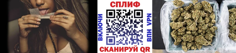 хочу   Сураж  сайты даркнета телеграм  Марихуана планчик 